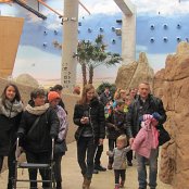 4.12.2014 Mikołajkowy wyjazd Do Afrykarium we Wrocławiu