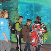 4.12.2014 Mikołajkowy wyjazd Do Afrykarium we Wrocławiu
