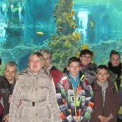 4.12.2014 Mikołajkowy wyjazd Do Afrykarium we Wrocławiu