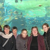 4.12.2014 Mikołajkowy wyjazd Do Afrykarium we Wrocławiu