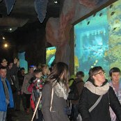 4.12.2014 Mikołajkowy wyjazd Do Afrykarium we Wrocławiu
