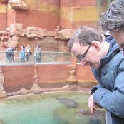 4.12.2014 Mikołajkowy wyjazd Do Afrykarium we Wrocławiu
