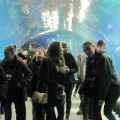 4.12.2014 Mikołajkowy wyjazd Do Afrykarium we Wrocławiu