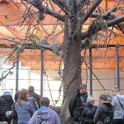 4.12.2014 Mikołajkowy wyjazd Do Afrykarium we Wrocławiu