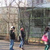 4.12.2014 Mikołajkowy wyjazd Do Afrykarium we Wrocławiu