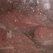 4.12.2014 Mikołajkowy wyjazd Do Afrykarium we Wrocławiu