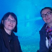 4.12.2014 Mikołajkowy wyjazd Do Afrykarium we Wrocławiu