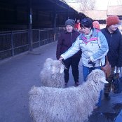 4.12.2014 Mikołajkowy wyjazd Do Afrykarium we Wrocławiu