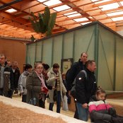 4.12.2014 Mikołajkowy wyjazd Do Afrykarium we Wrocławiu