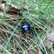 19.09.2014 Rajd pieszy "W poszukiwaniu jesieni"