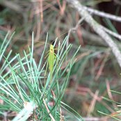 19.09.2014 Rajd pieszy "W poszukiwaniu jesieni"