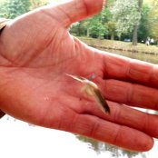 30.09.2014 Pożegnanie lata w Zimnowodzie