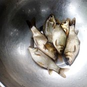 30.09.2014 Pożegnanie lata w Zimnowodzie