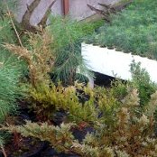 20.10.2015 Wycieczka edukacyjna do Szk&oacute;łki leśnej w Czerlejewie.