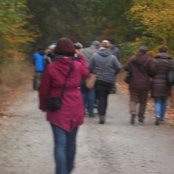 20.10.2015 Wycieczka edukacyjna do Szk&oacute;łki leśnej w Czerlejewie.