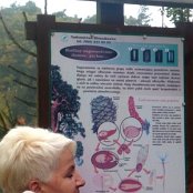 20.10.2015 Wycieczka edukacyjna do Szk&oacute;łki leśnej w Czerlejewie.