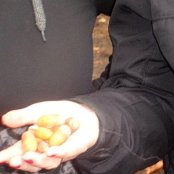 20.10.2015 Wycieczka edukacyjna do Szk&oacute;łki leśnej w Czerlejewie.