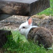 27.06.2016 Terapia na łonie natury