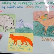 26.04.2016 Ekosystemy naszego regionu