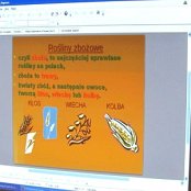 26.04.2016 Ekosystemy naszego regionu