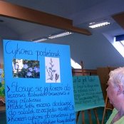 Łąka - ekosystem naszego regionu