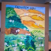 Łąka - ekosystem naszego regionu