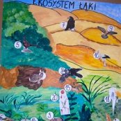 Łąka - ekosystem naszego regionu