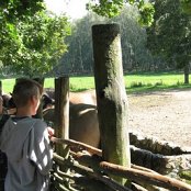 Wycieczka - Gniezno, Biskupin, Ostr&oacute;w Lednicki