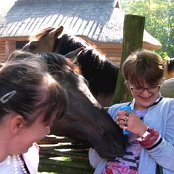 Wycieczka - Gniezno, Biskupin, Ostr&oacute;w Lednicki