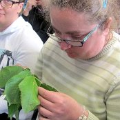 10.10.2016 Sad jako ekosystem naszego regionu.
Spotkanie z człowiekiem z pasją

- sadownikiem p. Antonim Apolinarskim.