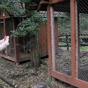 13.10.2016 Podsumowanie Akcji Sprzątania Świata w Leśnicz&oacute;wce na Koczurach 