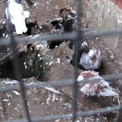 13.10.2016 Podsumowanie Akcji Sprzątania Świata w Leśniczówce na Koczurach 