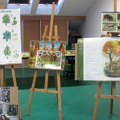 21.10.2016 Las - ekosystem naszego regionu