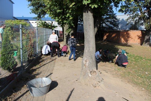 11,17.10.2018 Jesienne_zoledziobranie (1)