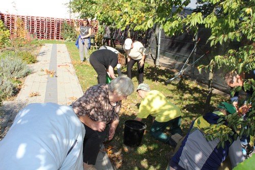 11,17.10.2018 Jesienne_zoledziobranie (9)