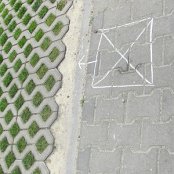 19.05.015 Podchody "W krainie leśnych tajemnic" w ramach projektu "Poznajemy bliżej las."
