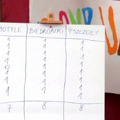24.05.2016 IX Piknik Rodzinny