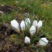 18.03.2016 Rajd pieszy "Krok po kroku ku wiośnie"