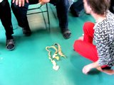 IMG_1091.JPG