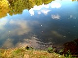 SAM_0047.JPG