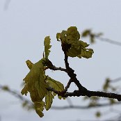 26.04.2017 "Radosna wiosna "