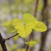 26.04.2017 "Radosna wiosna "