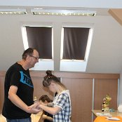 Wakacyjne zajęcia wakacyjne