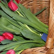 08.03.2017 Dzień Kobiet