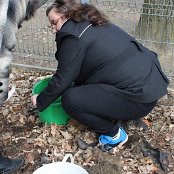 Wiosna w naszym ogrodzie