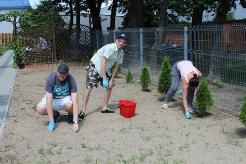 Lato w naszym ogrodzie (5)