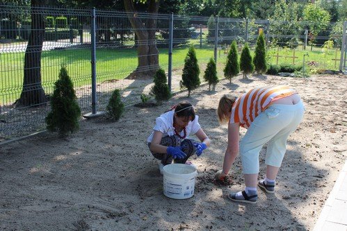 Lato w naszym ogrodzie (8)