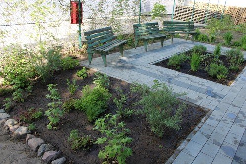 W maju jest pieknie (10)