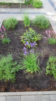 W maju jest pieknie (12)