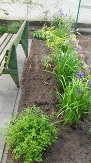 W maju jest pieknie (13)